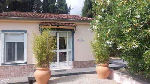 a house with two large potted trees in front of it at Casita Cacahuete in Olvera
