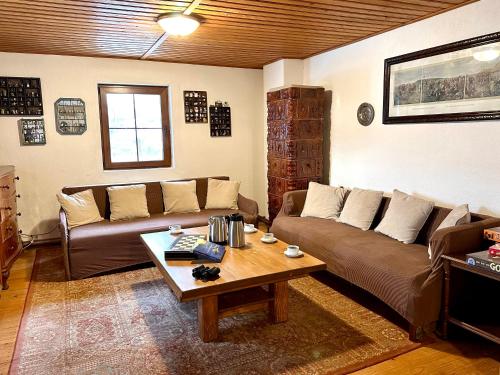 a living room with a couch and a coffee table at Cabana Wittmann in Rusca