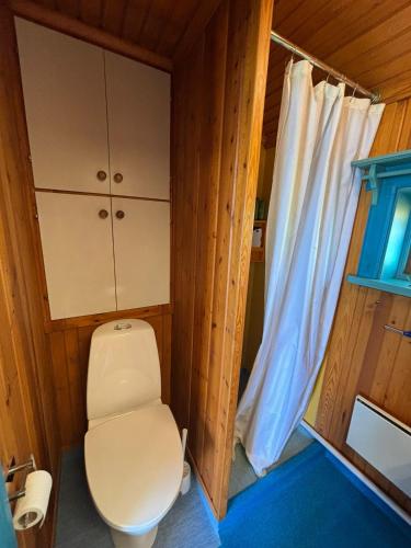 a bathroom with a toilet and a window at Lake Lodge Rönnäs in Leksand