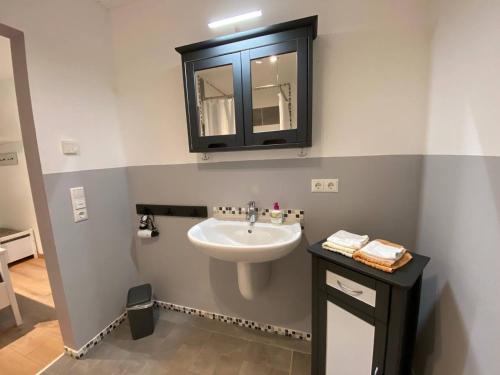 a bathroom with a sink and a mirror on the wall at Wohnung am Rande der Nordheide in Welle