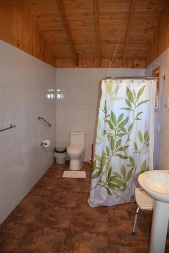 a bathroom with a toilet and a shower curtain at Los Quenes River Lodge in Los Queñes