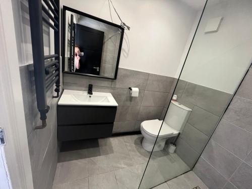 a bathroom with a toilet and a sink and a mirror at Deluxe family room in Chessington