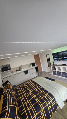 Converted garage ensuite photo 6