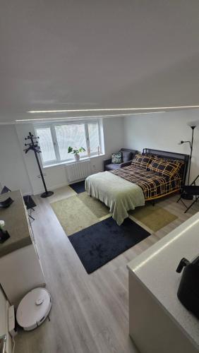 Converted garage ensuite photo 3