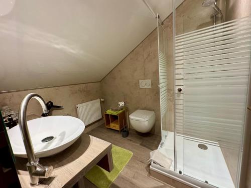 a bathroom with a sink and a shower and a toilet at Pension Sonnenheim in Winterberg