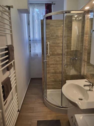 a bathroom with a shower and a sink at Akvamarin Downtown Apartman in Székesfehérvár