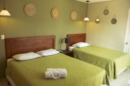 two beds in a room with green walls at Hotel Andoria in San Salvador
