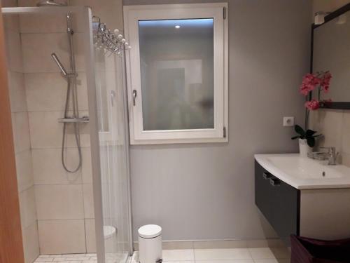 a bathroom with a shower and a sink at CHALET AU CALME à GERARDMER in Gérardmer