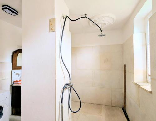 a shower in a bathroom with a shower head at Pirol in Niederfinow
