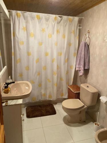 a bathroom with a toilet and a shower curtain at Apartamento Berro in Guadalaviar