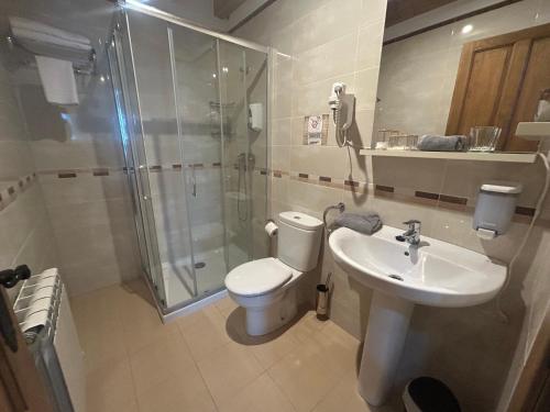 a bathroom with a toilet and a shower and a sink at Hotel Rural Rio Molinar - ADULTS ONLY in Ranera