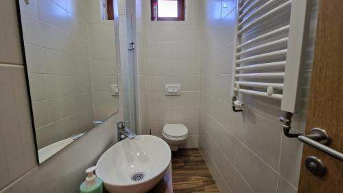 a bathroom with a sink and a toilet and a mirror at Apartment Licka Vodenica in Josipdol