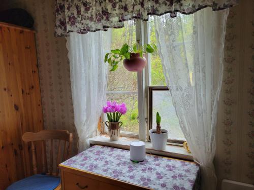 Gallery image of Rural accommodation in Bergslagen in Vasselhyttan