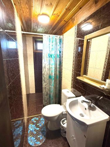 a bathroom with a toilet and a sink and a shower at ART Guest Home in Leshten