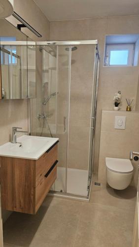 a bathroom with a shower and a sink and a toilet at Apartment Adriatica City in Makarska