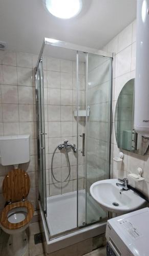 a bathroom with a shower and a toilet and a sink at Žana in Kotor
