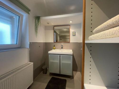 a bathroom with a sink and a mirror at Gemütliche Ferienwohnung zwischen Europa-Park und Schwarzwald in Lahr
