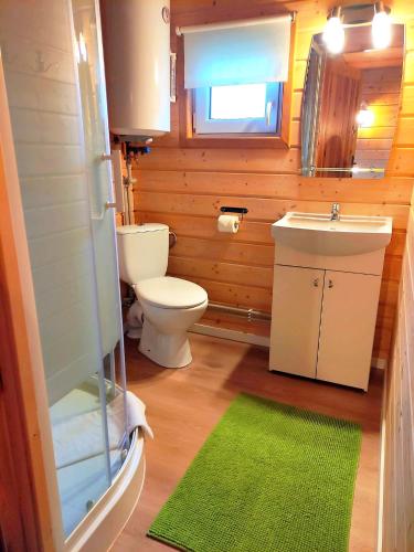 a small bathroom with a toilet and a sink at Domek BB in Podgórzyn