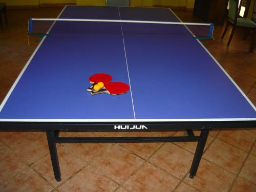 a ping pong table with a bird on it at Amani Beach Resort in Dar es Salaam