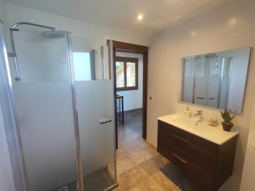 a bathroom with a shower and a sink and a mirror at Casa Cosculluela in Aínsa