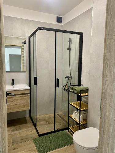 a bathroom with a shower and a toilet and a sink at Green Nest Apartment in Sárvár