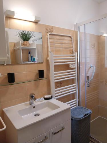 a bathroom with a sink and a shower at Palmiers 1 in Barbotan-les-Thermes