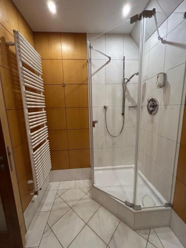 a bathroom with a shower with a glass door at Villa Weisser Berg in Neuwied