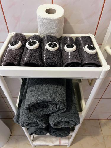 a shelf with rolls of toilet paper and towels at DW Bukówka in Karpacz