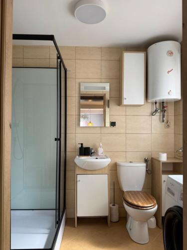 a bathroom with a toilet and a sink and a shower at Chatka w Narwi in Narew