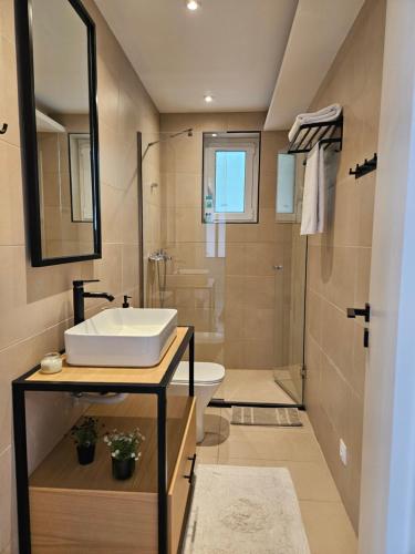 ein Badezimmer mit Waschbecken und Dusche in der Unterkunft Casa Sofia in Dassia