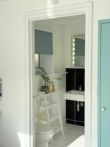 a bathroom with a white toilet and a sink at Tŷ Treflan in Aberdyfi