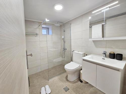 a bathroom with a toilet and a shower and a sink at Casa Nevina in Marathokampos