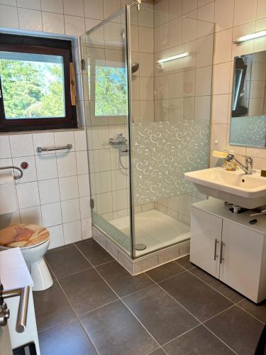 a bathroom with a shower and a toilet and a sink at Johanna Balatoni Ház in Balatonfenyves