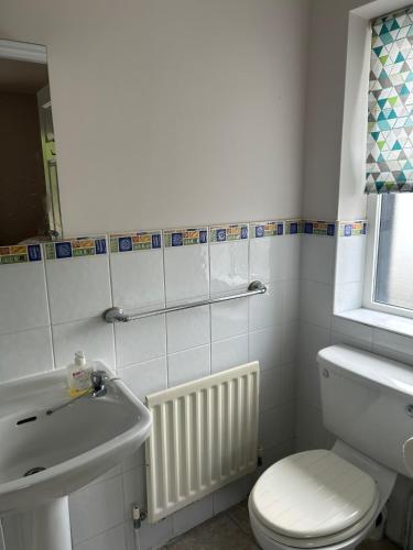 a bathroom with a white toilet and a sink at Central Two Bed Apartment looking over the Harbour in Dunfanaghy