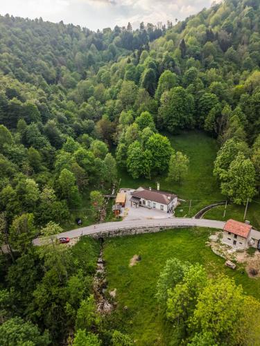 an aerial view of a house in the middle of a forest at La Vrata Gialla in Taipana