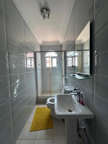 a bathroom with a sink and a toilet and a mirror at Fawis Lodge in Brusubi