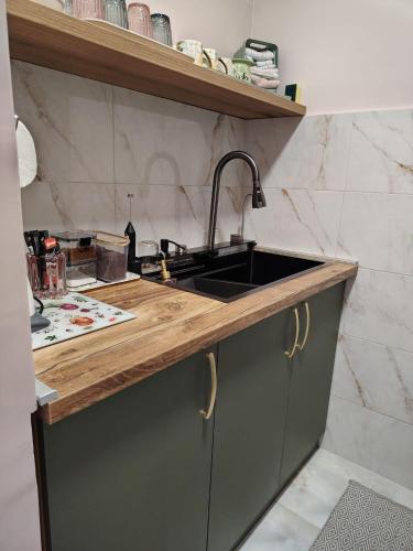 a kitchen with a sink and a counter at PANDORA BULEVAR Cacak in Čačak