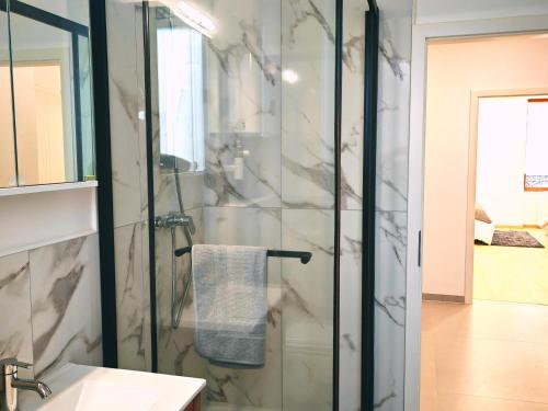 a bathroom with a glass shower and a sink at Chez Alice 1 in Montbéliard