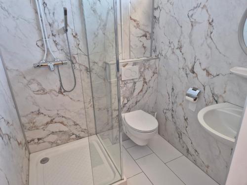 a bathroom with a shower and a toilet and a sink at Molenzicht in Elspeet
