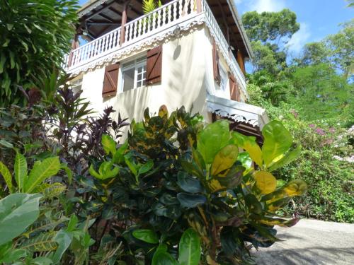 a house with green plants in front of it at Les Hauts de Terrasson in Les Abymes