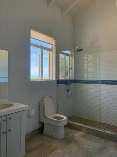 a bathroom with a toilet and a window and a shower at Ocean View Villa with pool in Christ Church