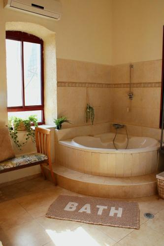 a bathroom with a large tub in a room at Sunny's Suite in Safed