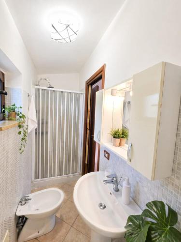 a bathroom with a sink and a mirror at B&B MULA Germaneto in Santa Maria