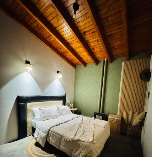 a bedroom with a bed and a wooden ceiling at Refugio Andino in Tupungato