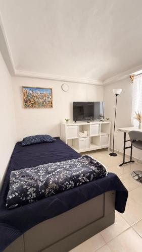 a bedroom with a bed and a tv in a room at Bed & Breakfast in El Gallinero