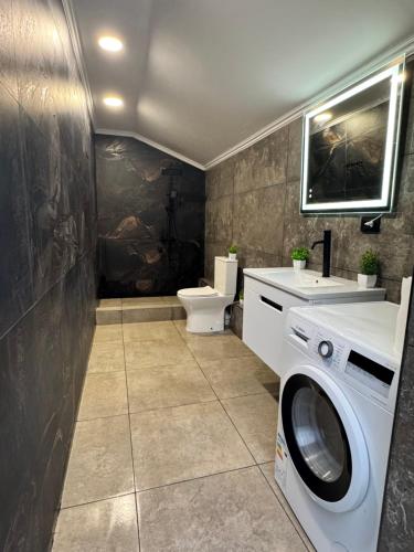 a bathroom with a washing machine and a toilet at Fir Tree Villa in Chişinău