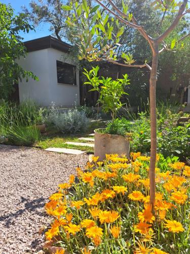 a garden with yellow and orange flowers and a tree at Studio Šumbora in Peroj