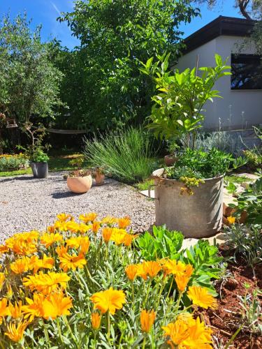 a garden with yellow flowers in a yard at Studio Šumbora in Peroj