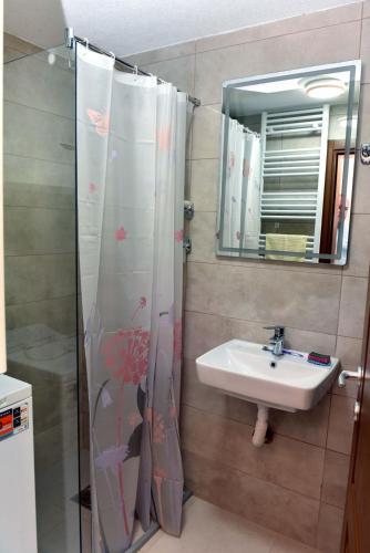 a bathroom with a sink and a shower with a mirror at Vila Teodora in Mojkovac