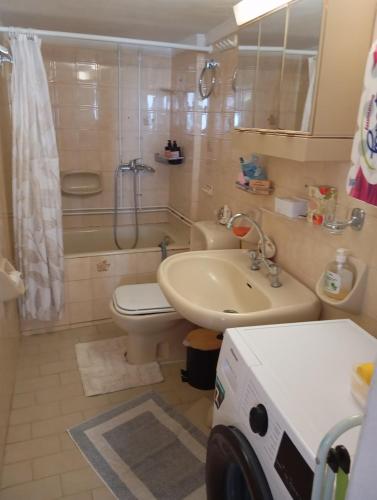 a bathroom with a sink and a toilet and a shower at Myrto's traditional house in Skiros